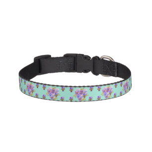 Shabby turquoise Stripe floral Dog dogs Collar