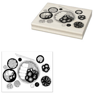 Shabu-Shabu Japan Japanese Food Cuisine Hotpot Rubber Stamp