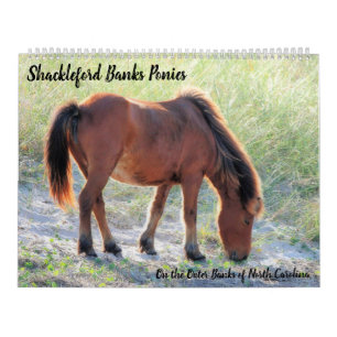 Shackleford Banks Ponies Calendar