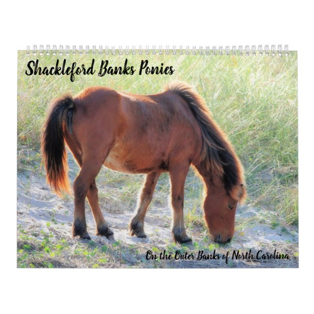 Shackleford Banks Ponies Calendar (Cover)