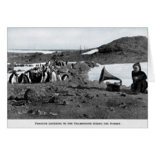 Shackleton in Antarctic Gramophone with Penguins