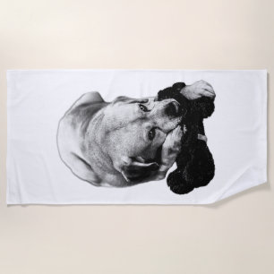 Shade & Shelter Beach Towel