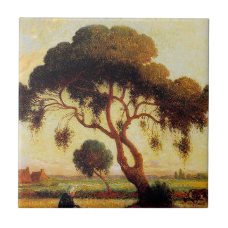 Shade Tree Tile