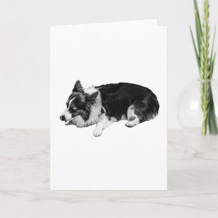 shaded calm wish, corgi card