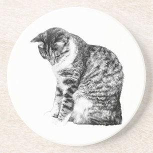 Shaded Cat Accent for Autumn Evenings Coaster