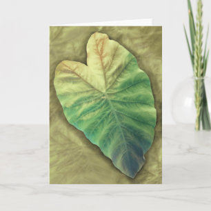 Shaded Leaf Card