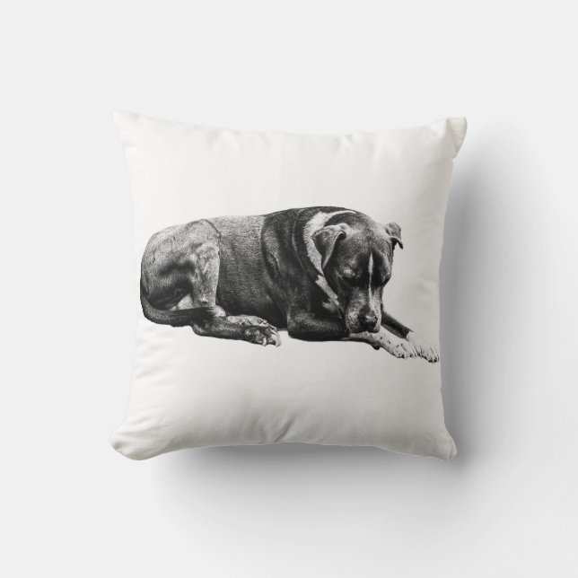 Shaded Lounge Dog Pillow (Front)