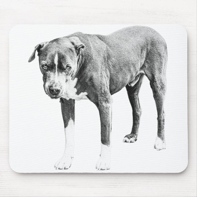 Shaded Pit Bull Desk Pad Mouse Mat (Front)