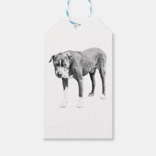Shaded Pit Bull Gift Tag