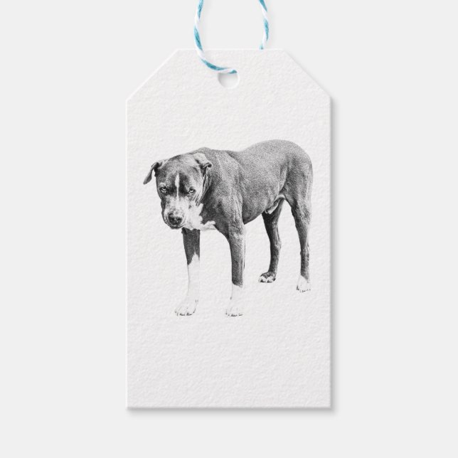Shaded Pit Bull Gift Tag (Front)