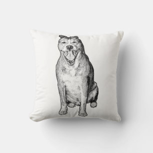 Shaded Quiet Form Cushion