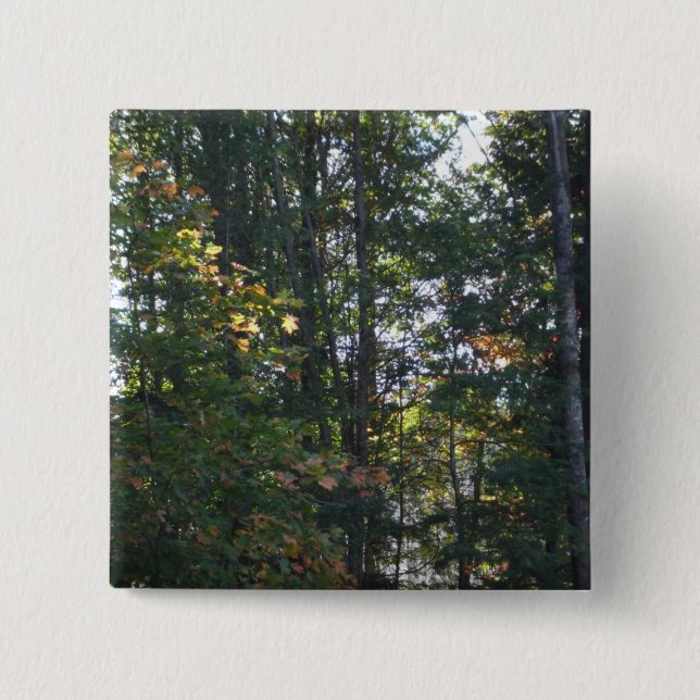 Shades of Autumn Trees 15 Cm Square Badge (Front)