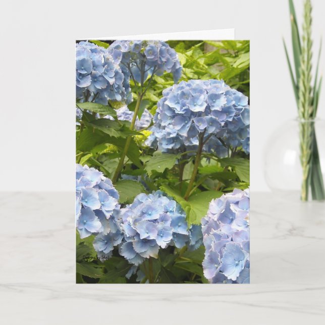 Shades of Blue Hydrangeas Card (Front)