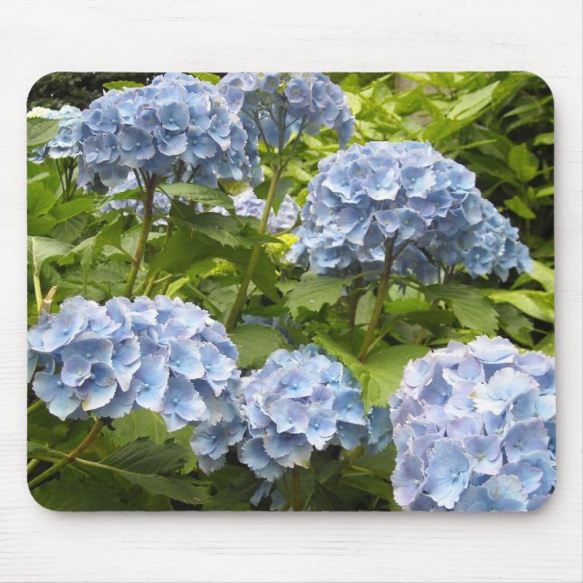 Shades of Blue Hydrangeas Mouse Mat (Front)