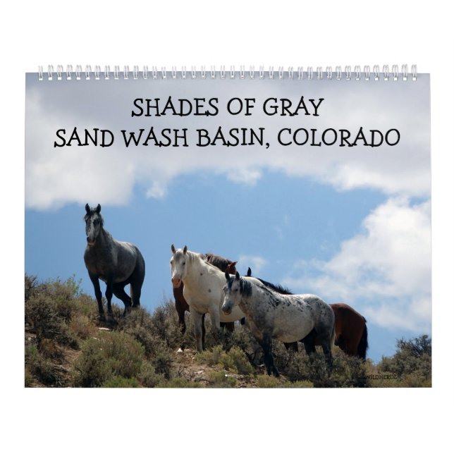 Shades of Gray Sand Wash Basin, Colorado Calendar (Cover)