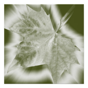 shades of green poster