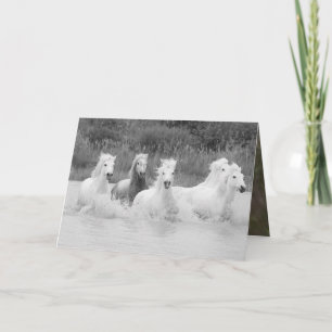 Shades of Grey - Horse Greeting Card