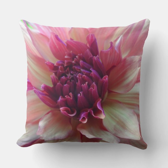 Shades of Pink Dahlia Close Up Throw Pillow (Front)