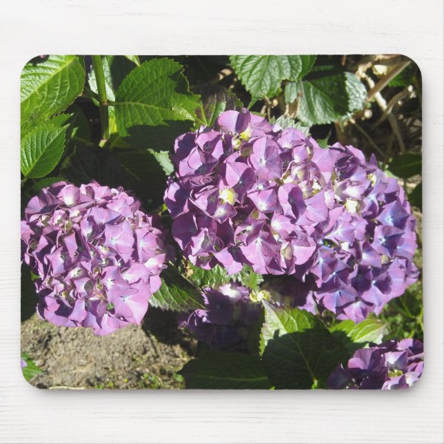 Shades of Purple Hydrangea Mouse Mat (Front)