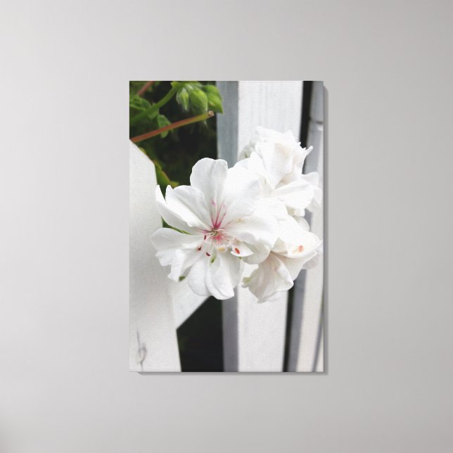 shades of white canvas print (Front)