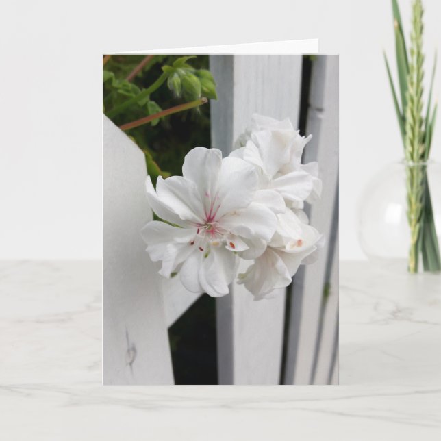 shades of white card (Front)