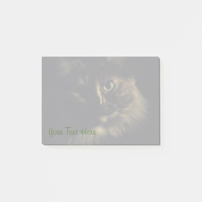 Shadow Cat Art Photography Green Eyes Kitty Post-it Notes (Front)