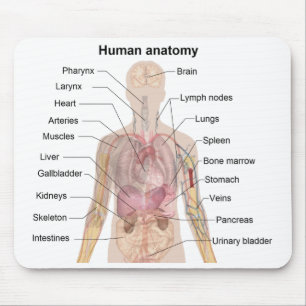 Shadow Diagram of the Human Anatomy Mouse Mat