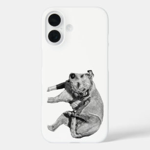 Shadow Grove Itch iPhone 16 Case