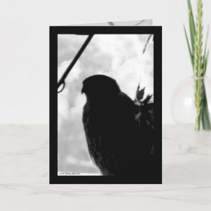 Shadow Hawk Card