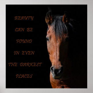 Shadow Horse Inspirational Poster