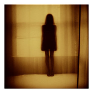 Shadow in the Depths of Light Poster
