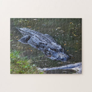 Shadow in the Shallows Jigsaw Puzzle