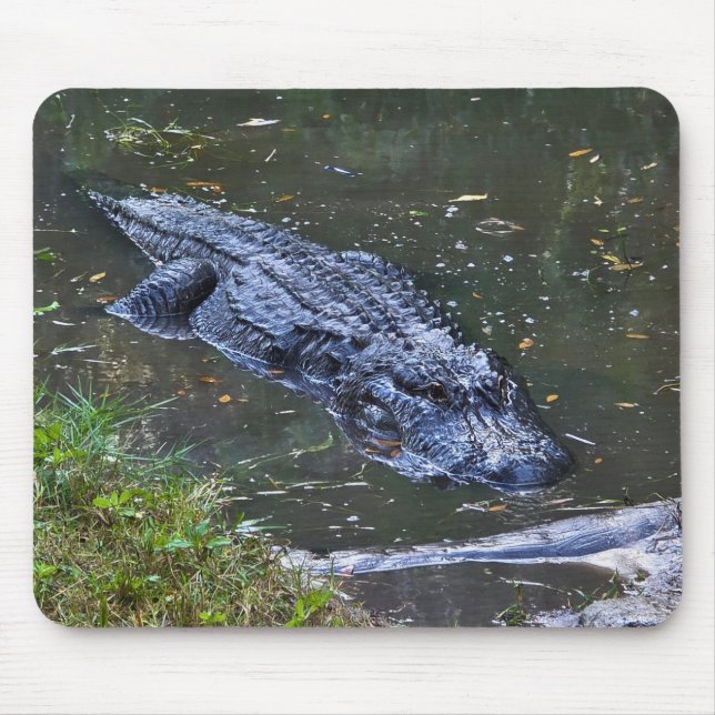 Shadow in the Shallows Mouse Mat (Front)