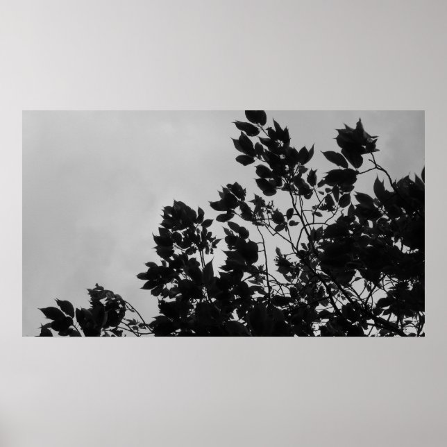 Shadow Leaves Poster (Front)