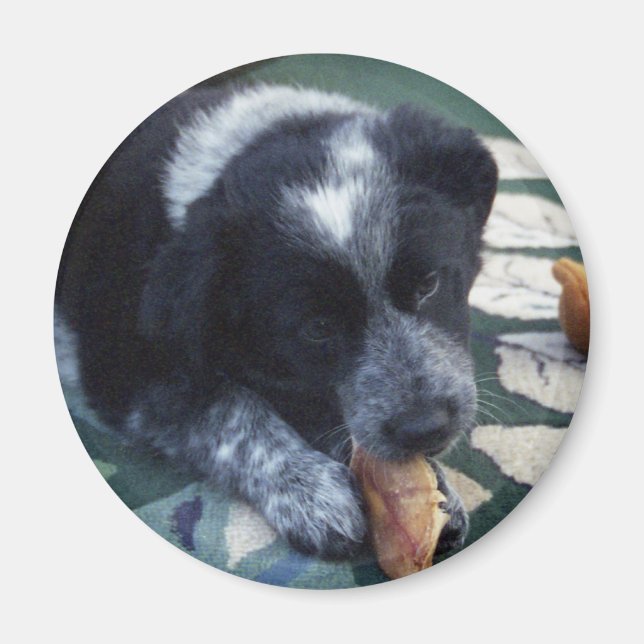 Shadow Magnet (Front)