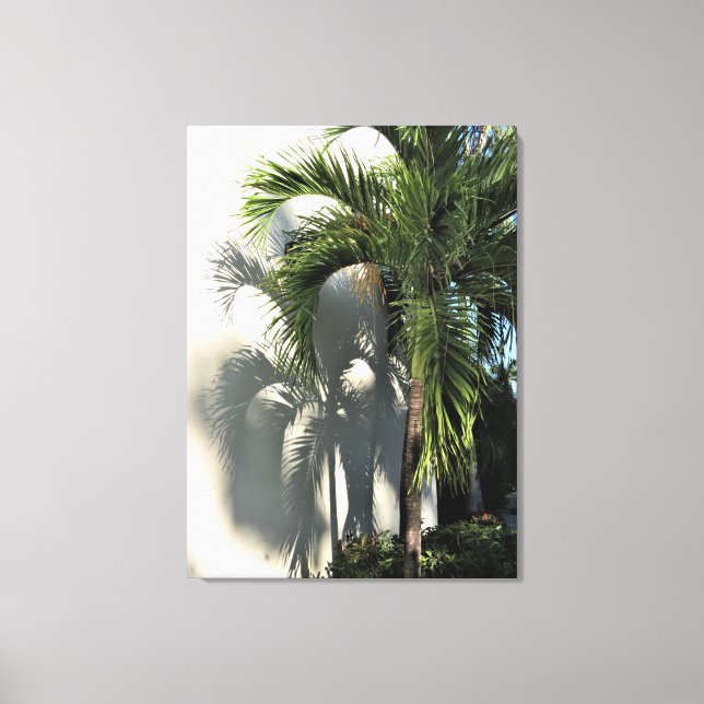 shadow of palm canvas print (Front)