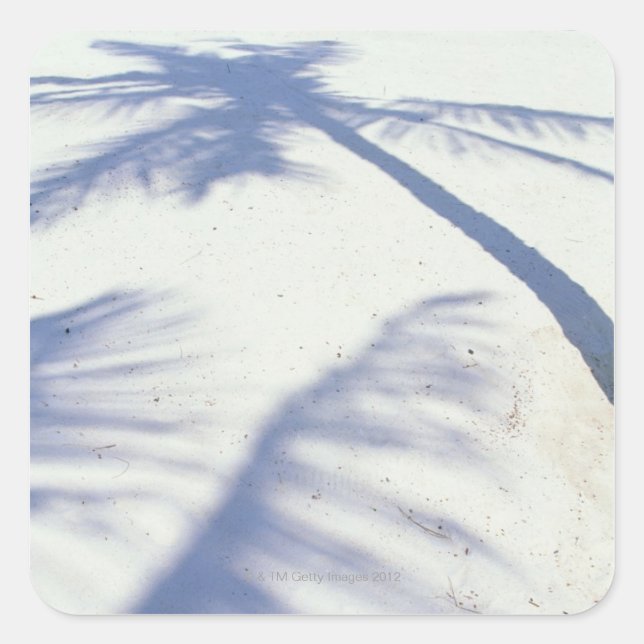 Shadow of Palm Tree 2 Square Sticker (Front)