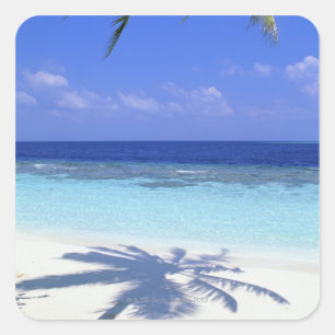 Shadow of Palm Tree Square Sticker