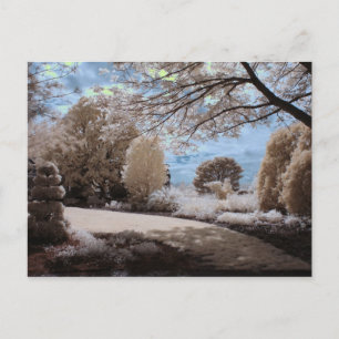 Shadow Of The Garden Postcard