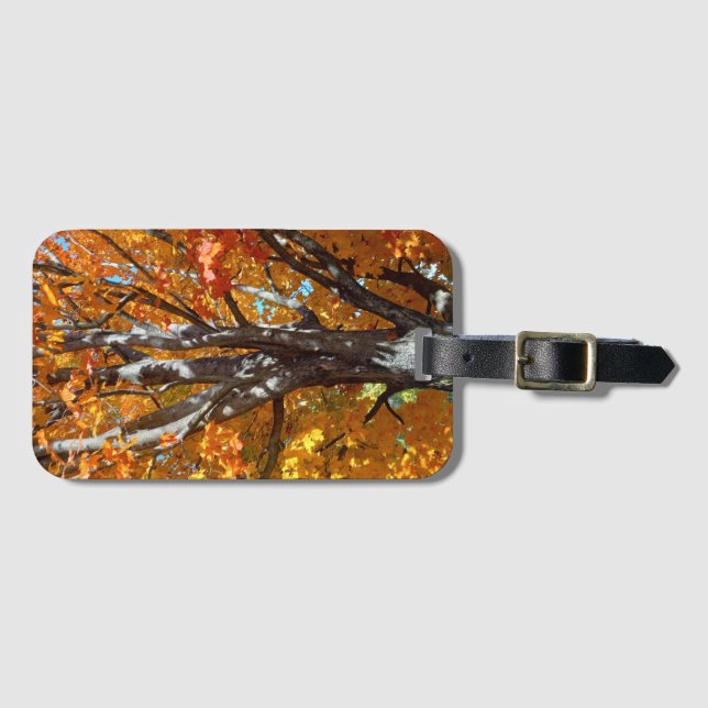 Shadowed Orange Foliage Luggage Tag (Front Horizontal)