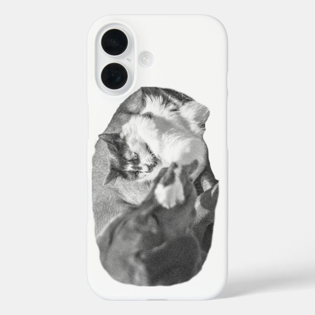Shadowed Porch Companions Case-Mate iPhone Case (Back)