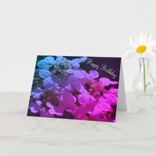 Shadows And Light Hydrangea Flower Birthday  Card