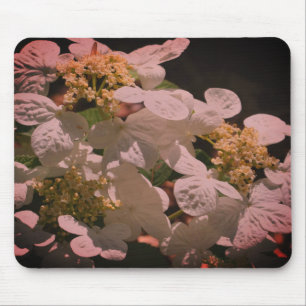 Shadows And Light Lacecap Hydrangea Flower Mouse Mat
