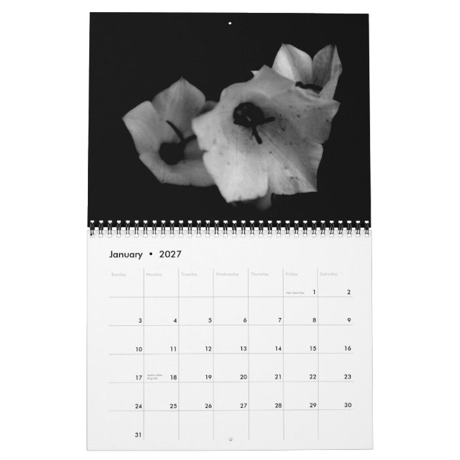 Shadows Calendar (Jan 2027)