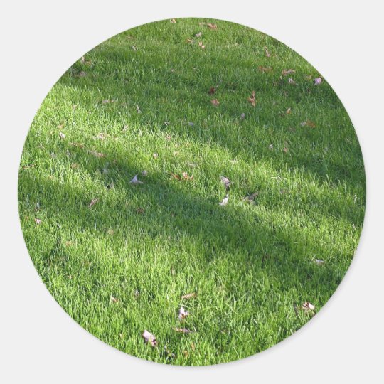 Shadows in the Grass Classic Round Sticker