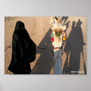 Shadows of the Desert Poster