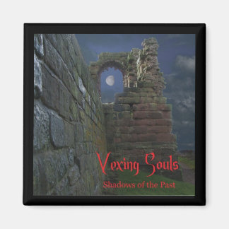 Shadows-of-the-past Magnet