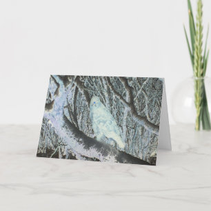 Shadowy Buzzard Perched in Haunting Forest Artwork Card