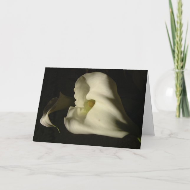 Shadowy Callas Card (Front)