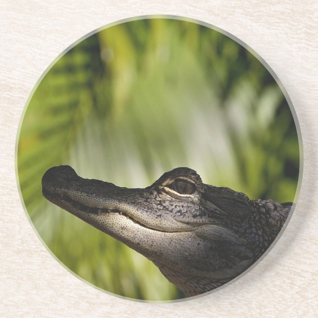 Shady Alligator coaster (Front)